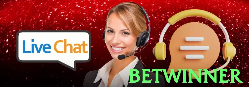 Interface da plataforma - 4